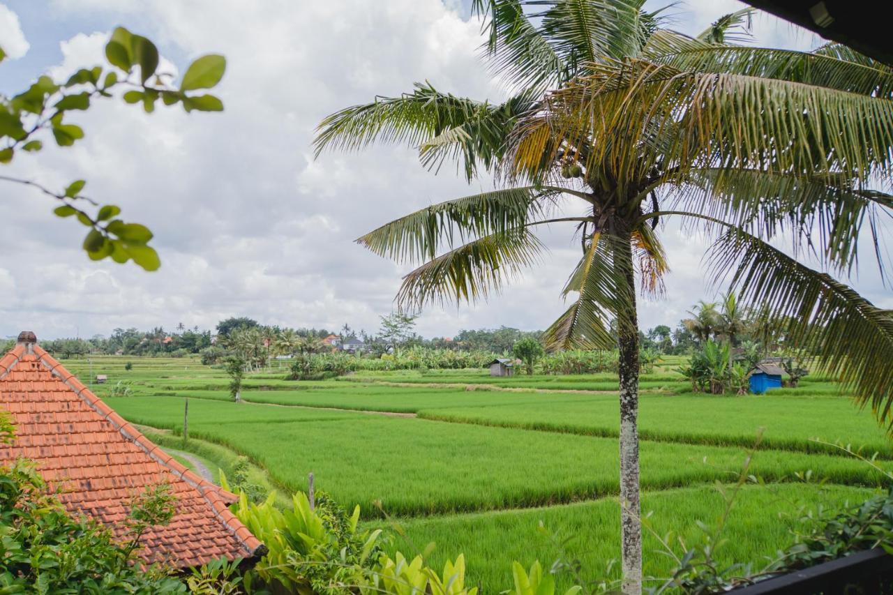 Mancur Guesthouse Ubud Extérieur photo