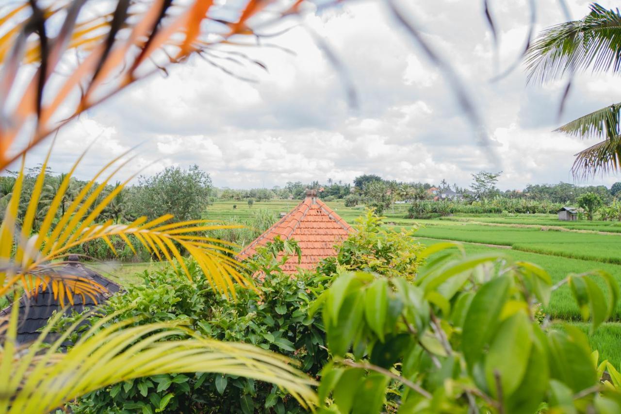 Mancur Guesthouse Ubud Extérieur photo