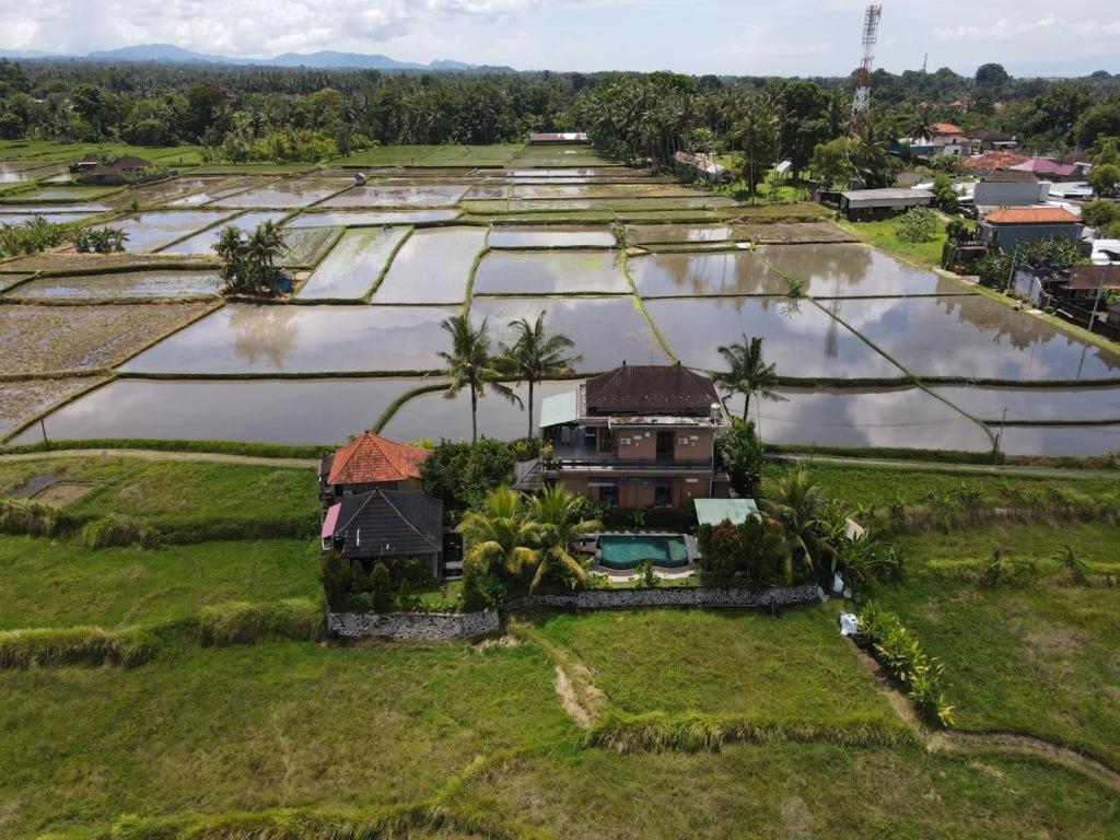 Mancur Guesthouse Ubud Extérieur photo