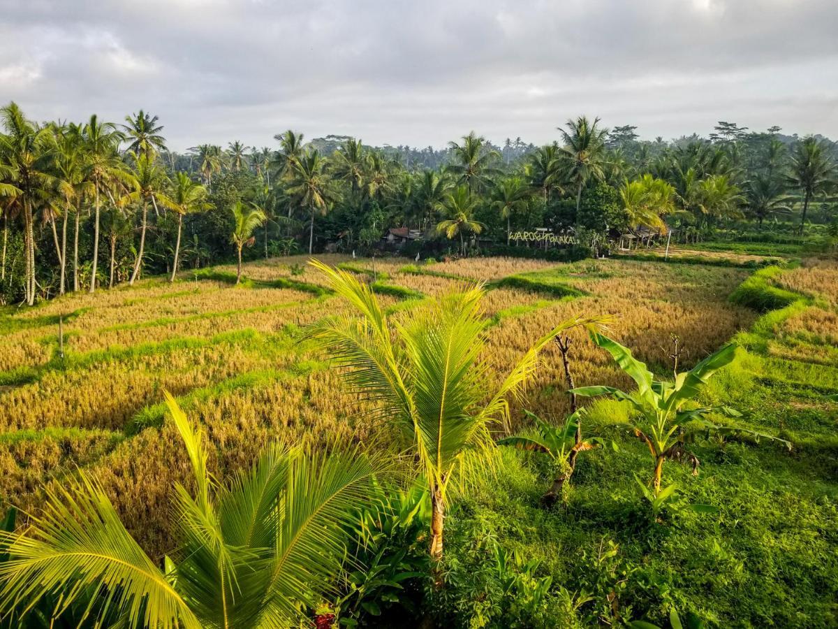 Mancur Guesthouse Ubud Extérieur photo